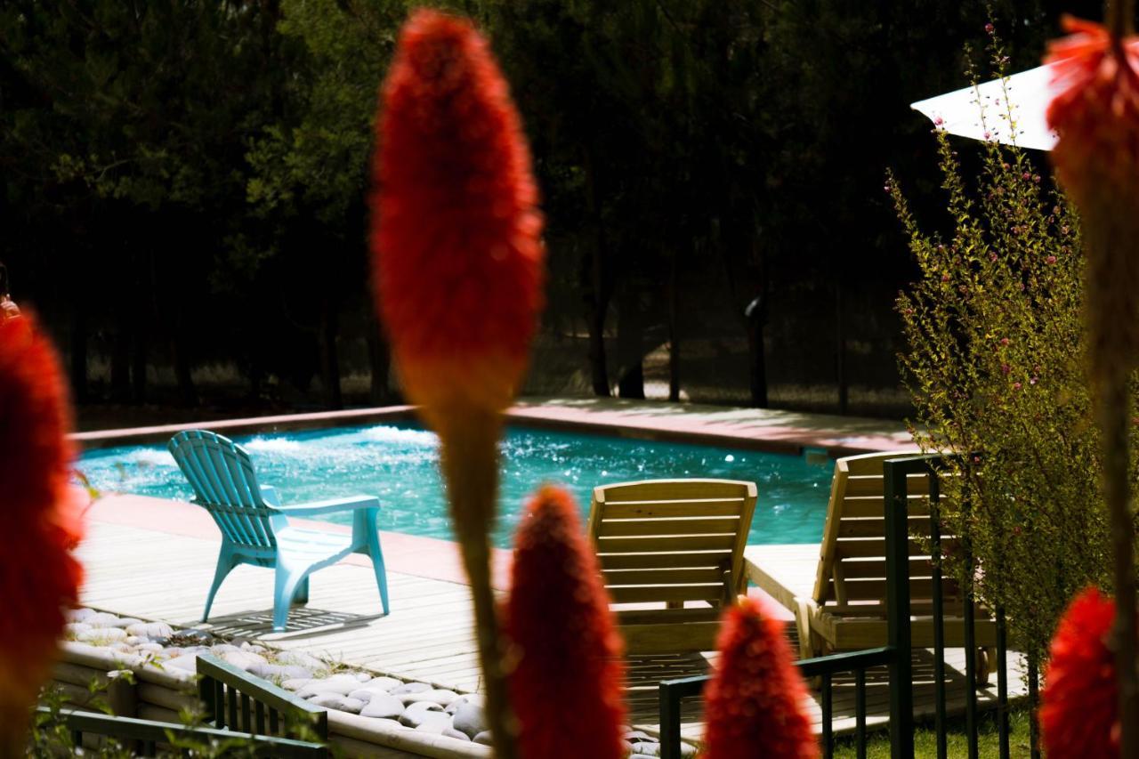 En Tunquén, Bosque, Piscina Y Vista Al Mar Сasa de vacaciones Tunquén